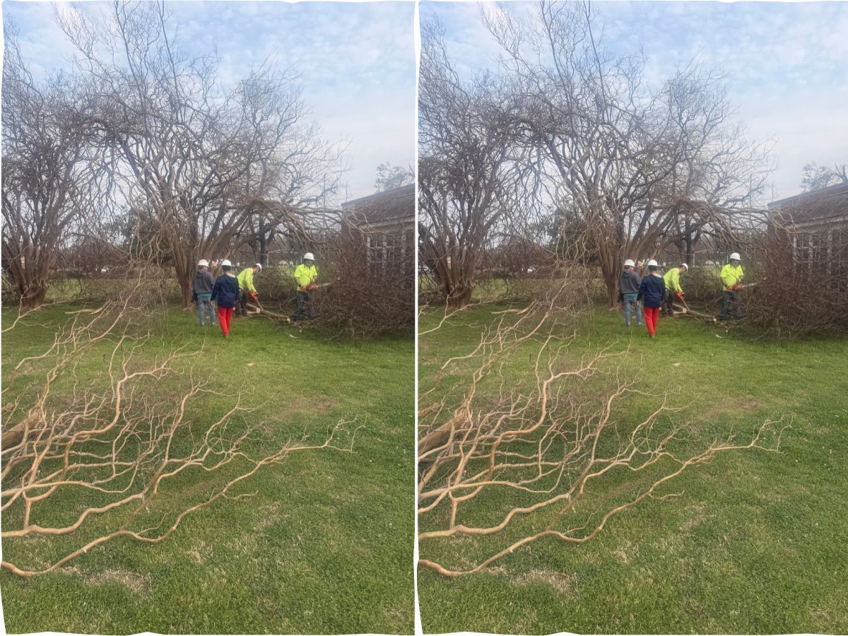 Commercial Property Services